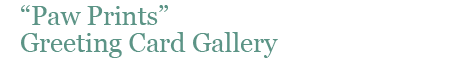 greeting card gallery